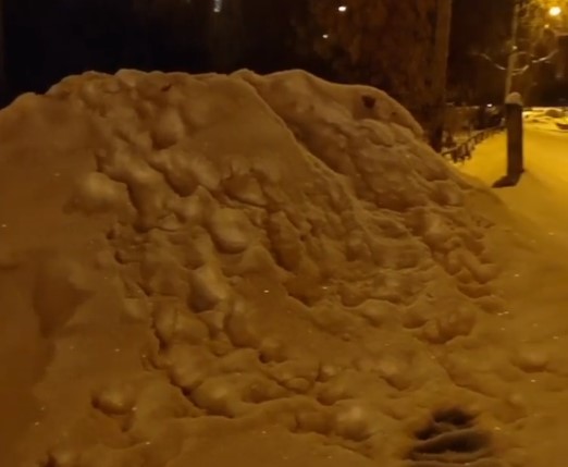 Мельниченко остался недоволен работой УК по уборке снега