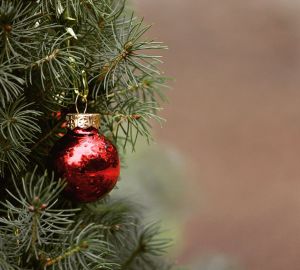 Главная новогодняя елка в Кузнецке будет стоять до конца января