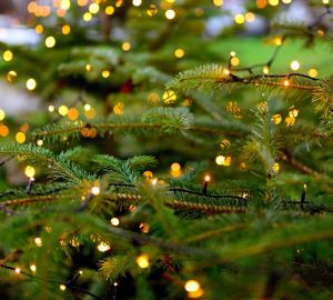 Пензенцев предупредили о вреде мерцания новогодних гирлянд