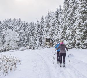 Для зареченцев оборудовали лыжную трассу