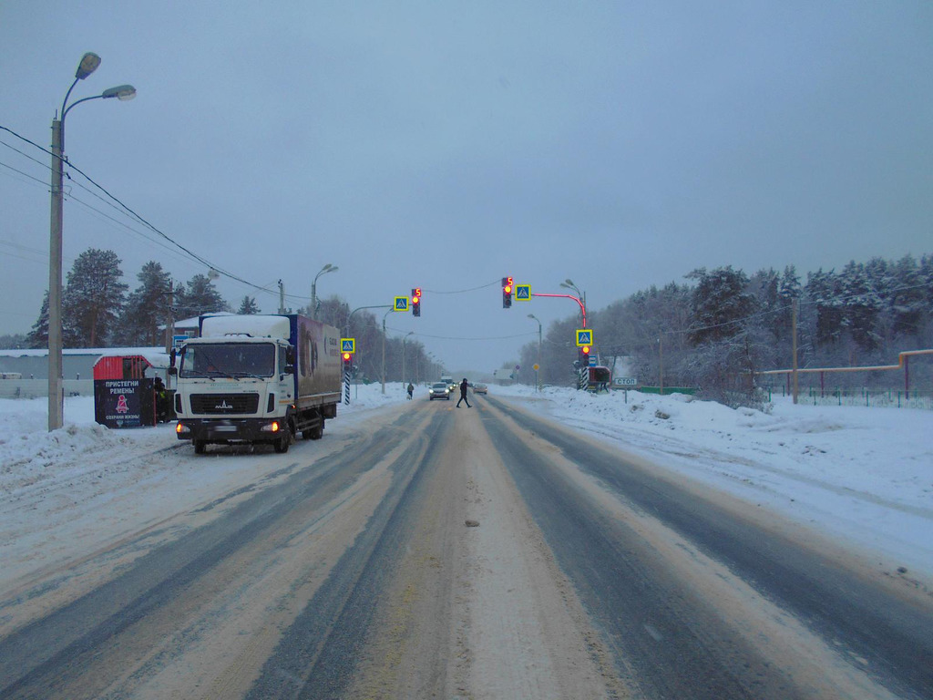 Женщина-пешеход угодила под колеса «КамАЗа» на трассе «Тамбов-Пенза»