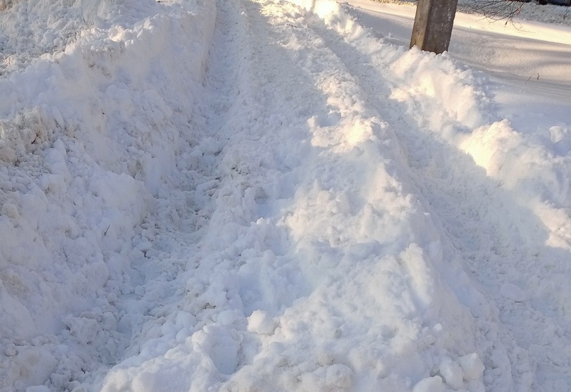 Родители пензенских школьников пожаловались на нечищеные тротуары