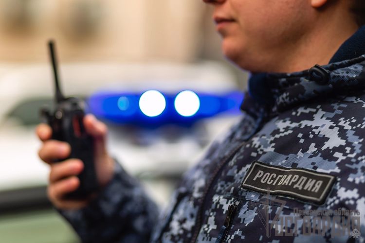 Росгвардейцы с трудом утихомирили неадекватного пензенца с топором