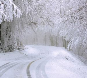 На уборку дорог после снегопада выделят более 100 машин