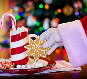 Почему дети верят в Деда Мороза? Ответ психолога