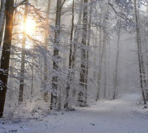 Куда звонить, если не устраивает качество уборки снега? Номера