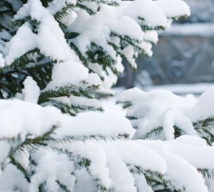 Пензенцам пообещали похолодание до -22°C
