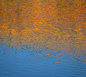 Пензенцам назвали места, где можно окунуться в проруби