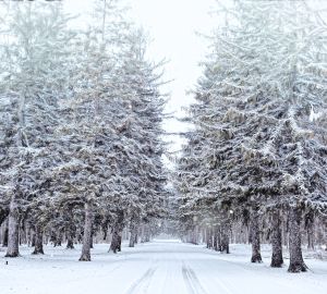 Пензенским водителям советуют не использовать личный транспорт во время снегопадов