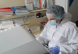 В Пензе начали делать тесты на омикрон