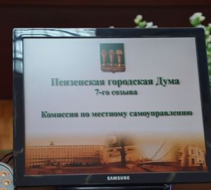 В Пензе депутаты нашли кандидатов для замены Оксаны Милаевой