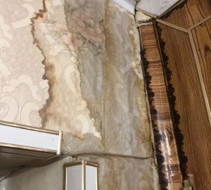 Пензенцы пожаловались на протекшую из-за посиделок молодых людей крышу