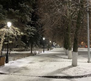 В Пензе на качество уборки от снега с января проверили почти 2000 участков