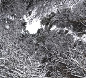 Пензенцам предрекли холодный март