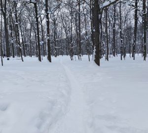 Какая погода ждет пензенцев в первый день февраля