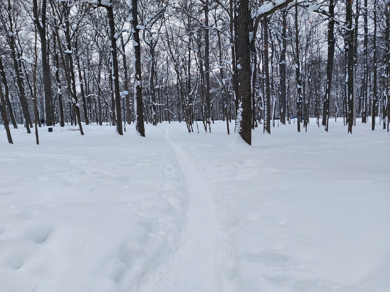 Какая погода ждет пензенцев в первый день февраля