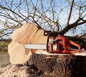 За украденную пилу жительнице Пензенской области грозит тюрьма