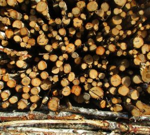 Стройматериалы в России могут подорожать на 10%