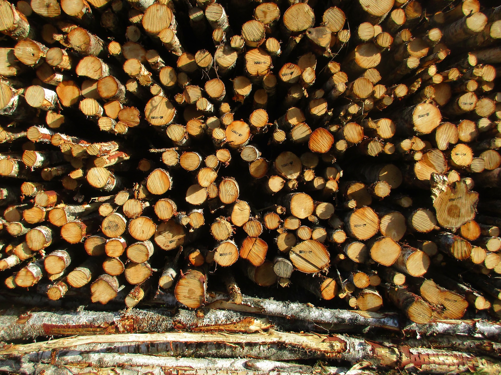 Стройматериалы в России могут подорожать на 10%