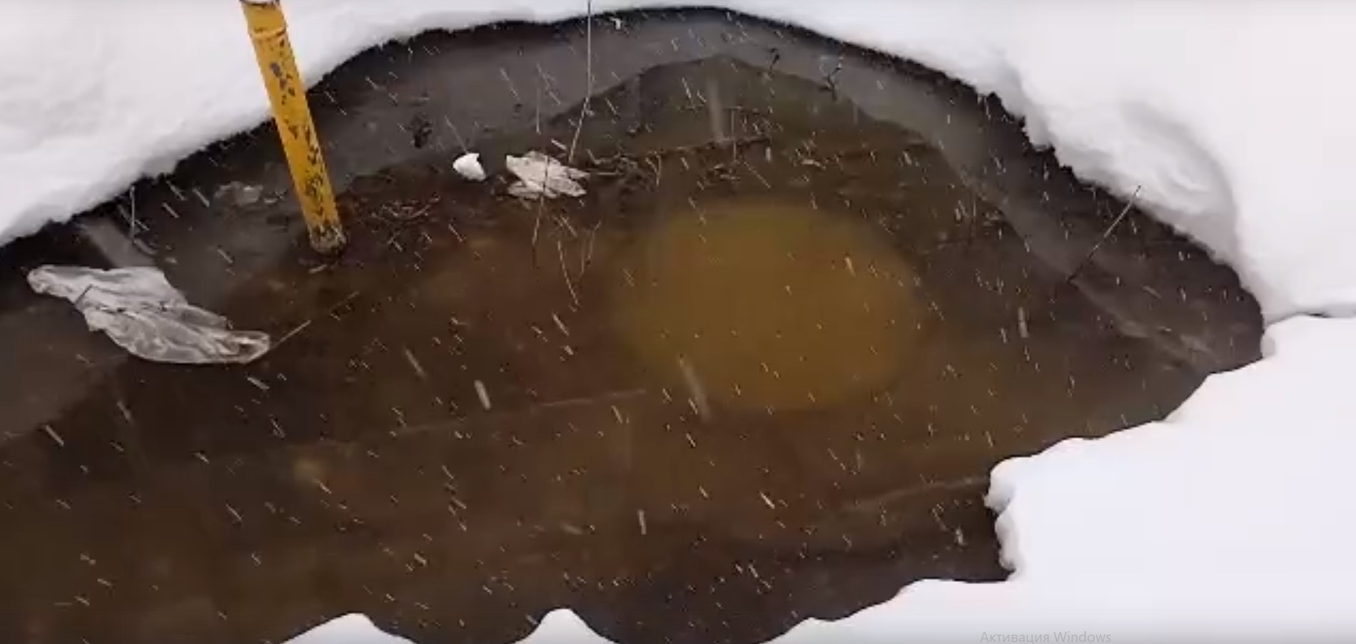 Пензенцы пожаловались на "вонючую речку" рядом с жилым домом