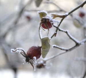 Какая погода ждет пензенцев 15 февраля