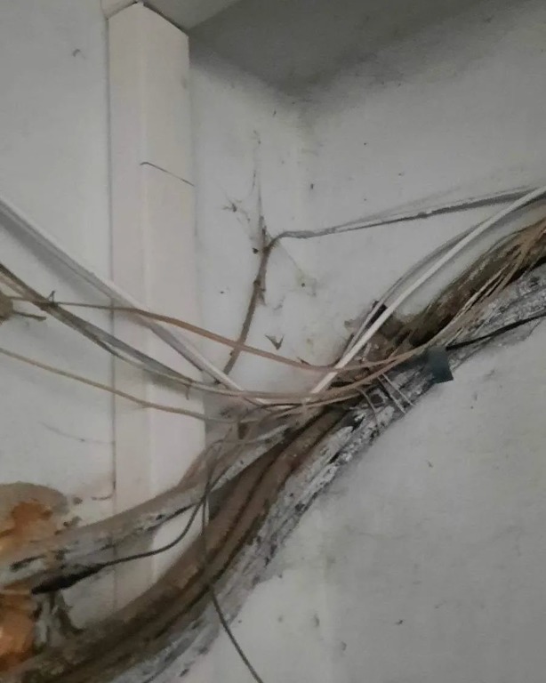 Пензенцы пожаловались на жуткий подъезд с висящими проводами
