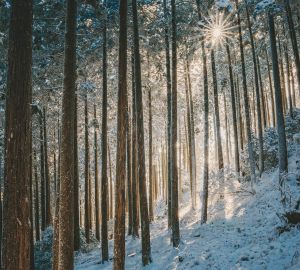 Пензенцев предупредили о надвигающемся циклоне