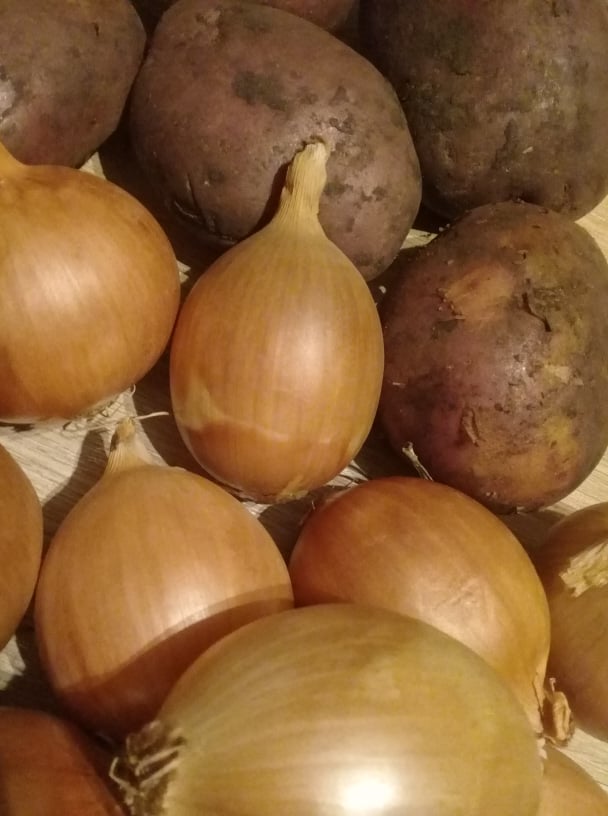 В Пензе открыли три пункта приема гуманитарной помощи для беженцев