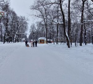 В Пензенской области потеплеет до плюс 1 градуса