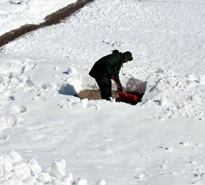 В Пензе предложили нормативно закрепить ответственность за уборку снега