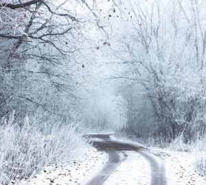 Заренцев предупредили о перекрытии нескольких улиц