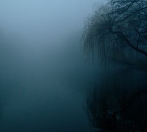 Пензенцев предупредили о густом тумане 26 февраля