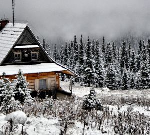 В Бессоновском районе снег разрушил кровлю жилого дома