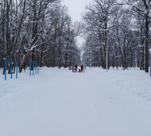 В Пензенской области теплая и снежная погода