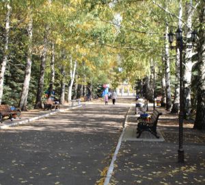 В Сердобске ищут место для обустройства «Сквера учителя»