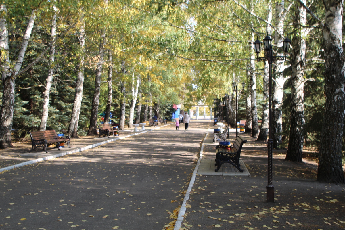 В Сердобске ищут место для обустройства «Сквера учителя»