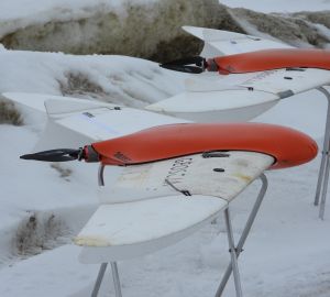 В Пензенской области копытных животных подсчитали при помощи беспилотников