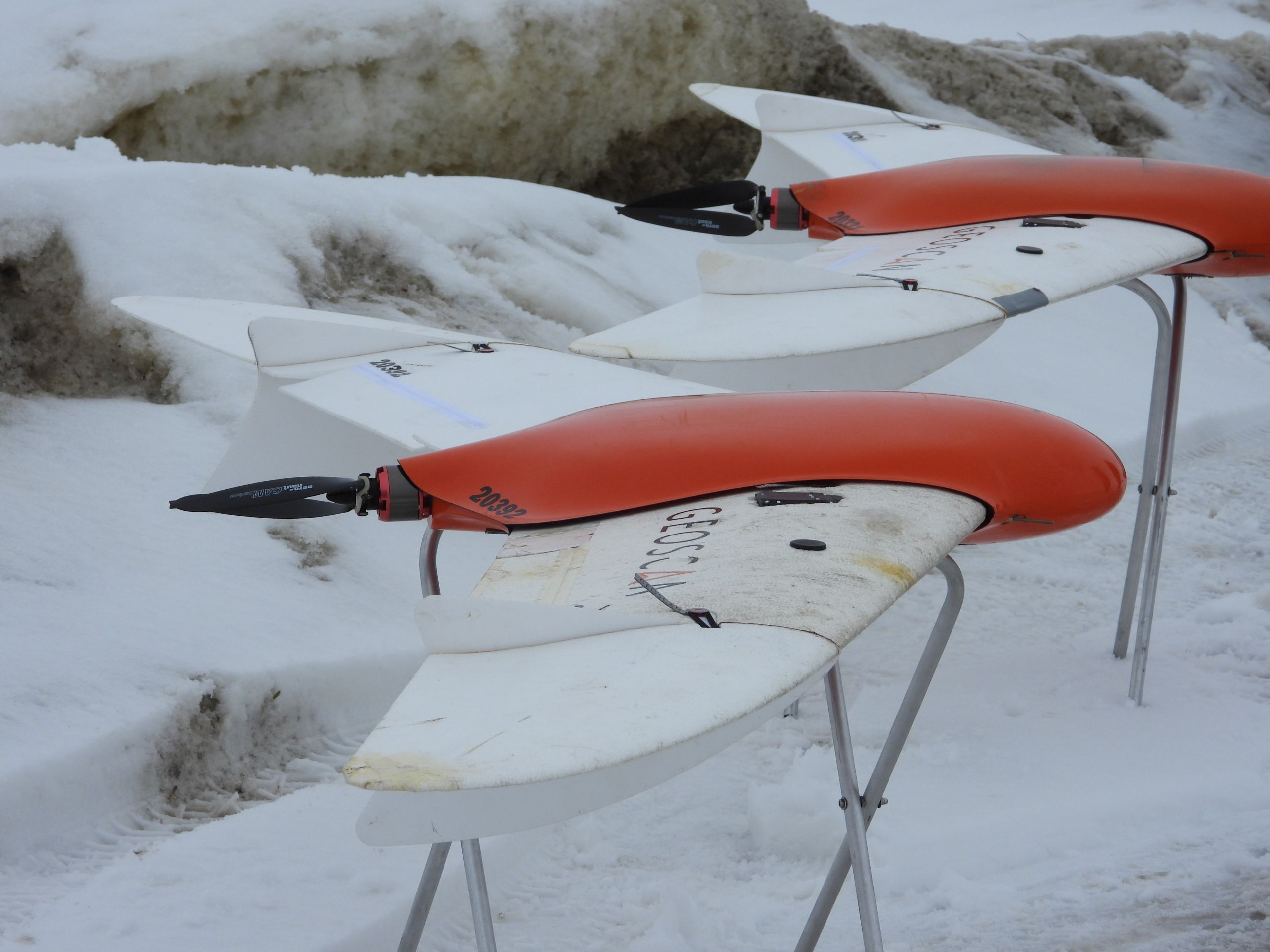 В Пензенской области копытных животных подсчитали при помощи беспилотников