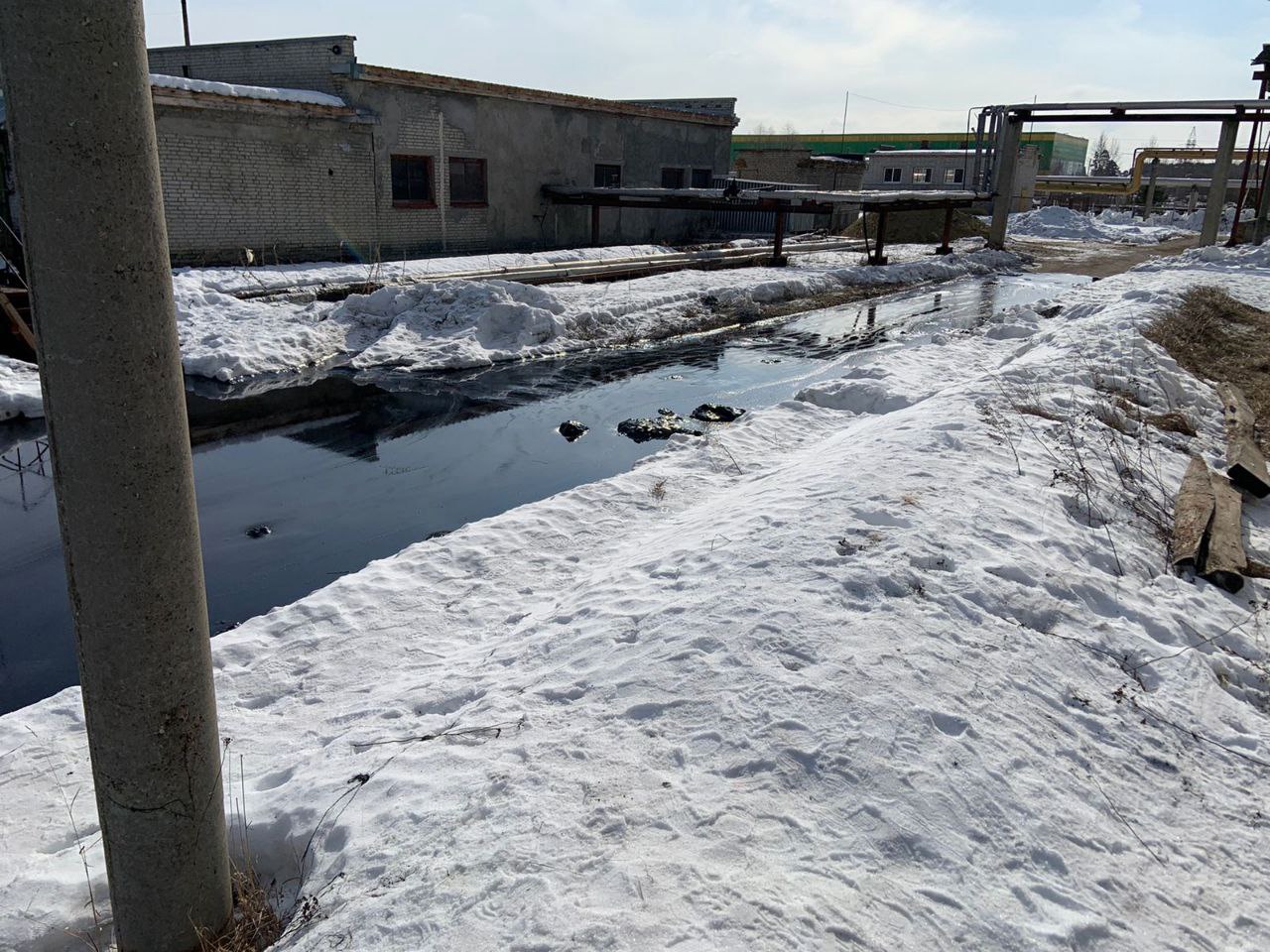 По факту разлива битума в Пензе возбудили уголовное дело