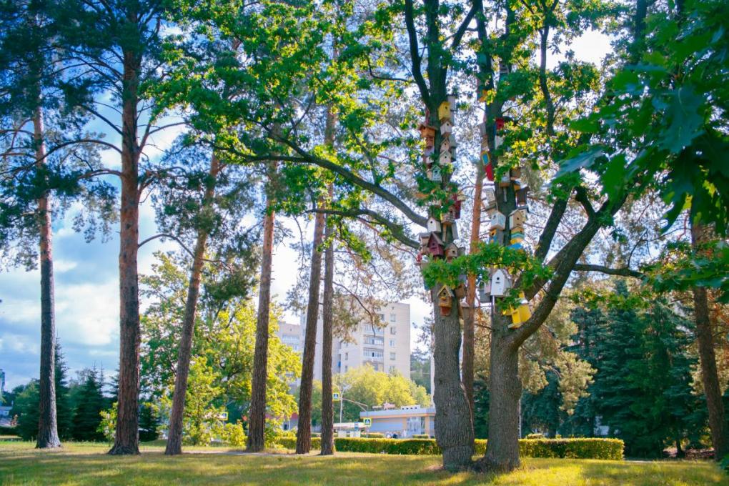 Зареченцев призывают проголосовать за территорию для благоустройства