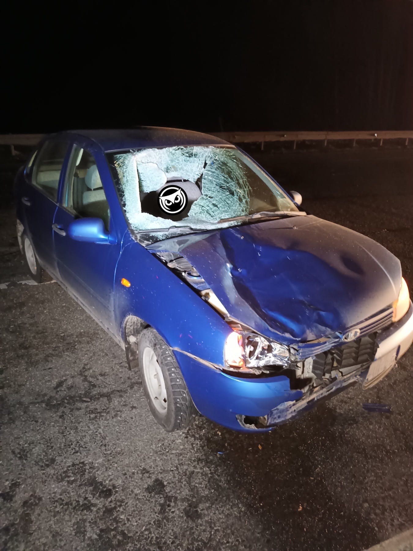 В Пензенской области на трассе М5 легковушка насмерть сбила мужчину