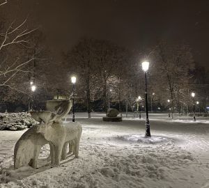В мэрии Кузнецка подвели итоги голосования жителей о территориях для благоустройства