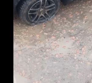 На Рябова пензенских водителей поджидает опасность