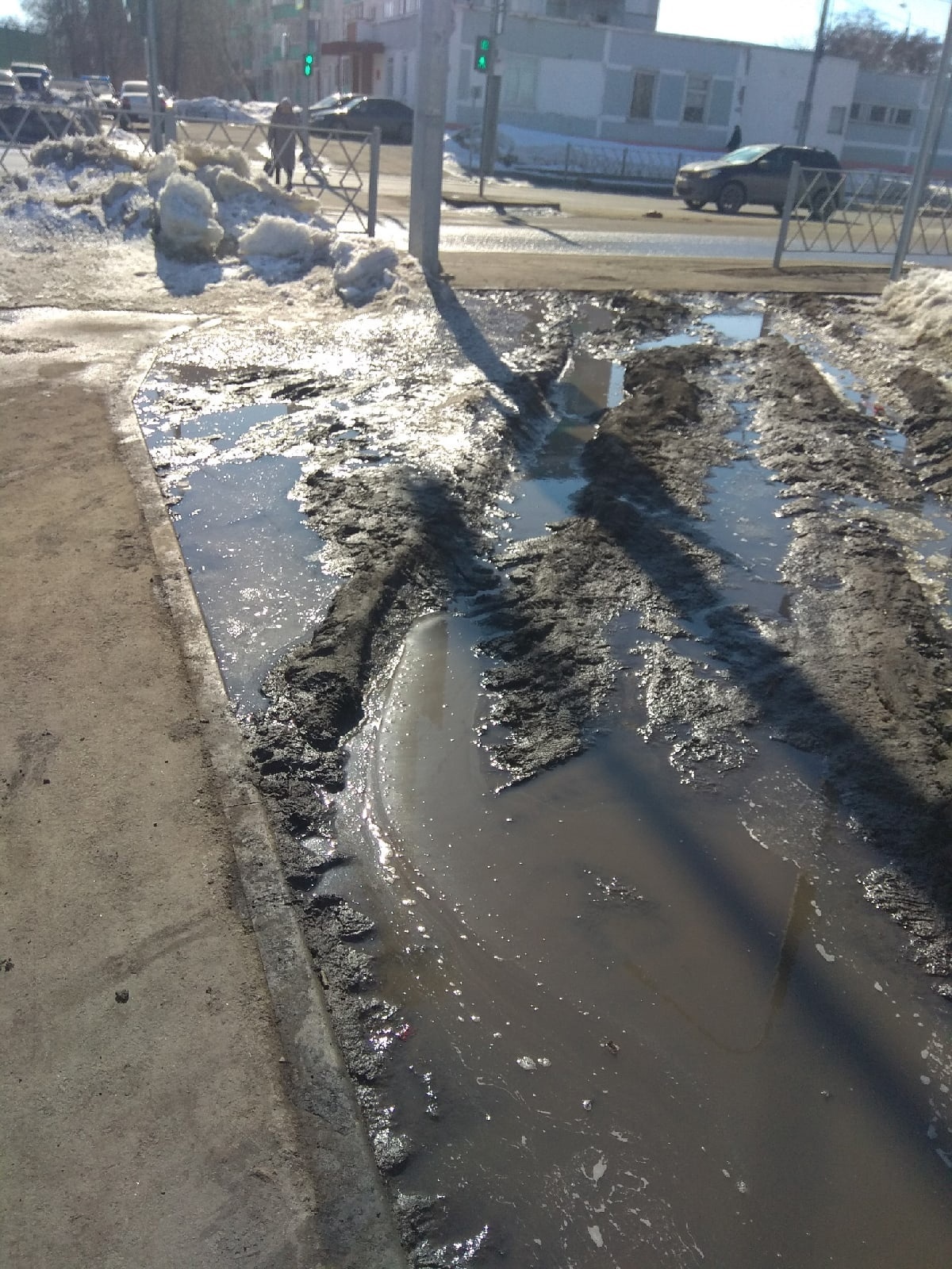 Дорога в пензенский аэропорт превратилась в болото