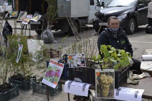 В Кузнецке не станут существенно менять стоимость проезда в дачных автобусах