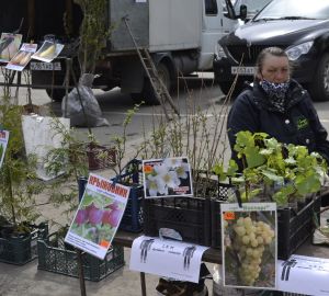 В Кузнецке не станут существенно менять стоимость проезда в дачных автобусах
