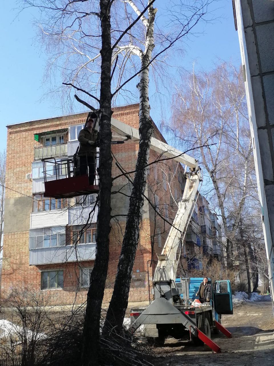 «Надежда-6» организовала опиловку деревьев