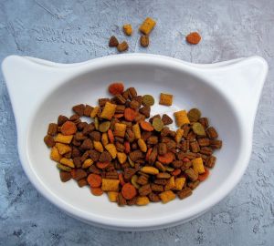 В Госдуме инициировали проверку цен на корма для животных