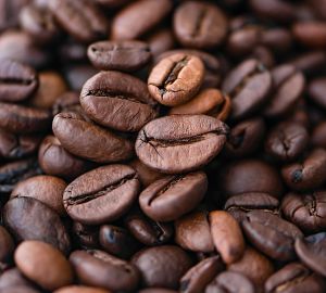 Санкционные продукты не исчезнут из российских магазинов