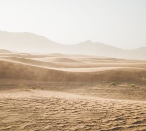 Стало известно, почему в Чаадаевском карьере стали добывать меньше песка